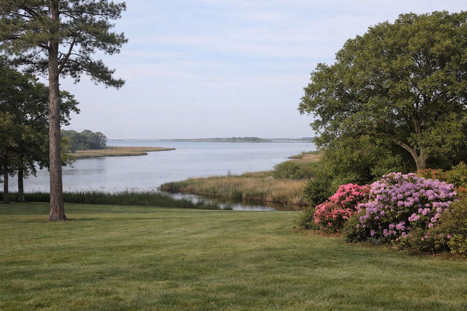 A broad estate lawn with specimen trees and rhododendrons running down to a tidal river