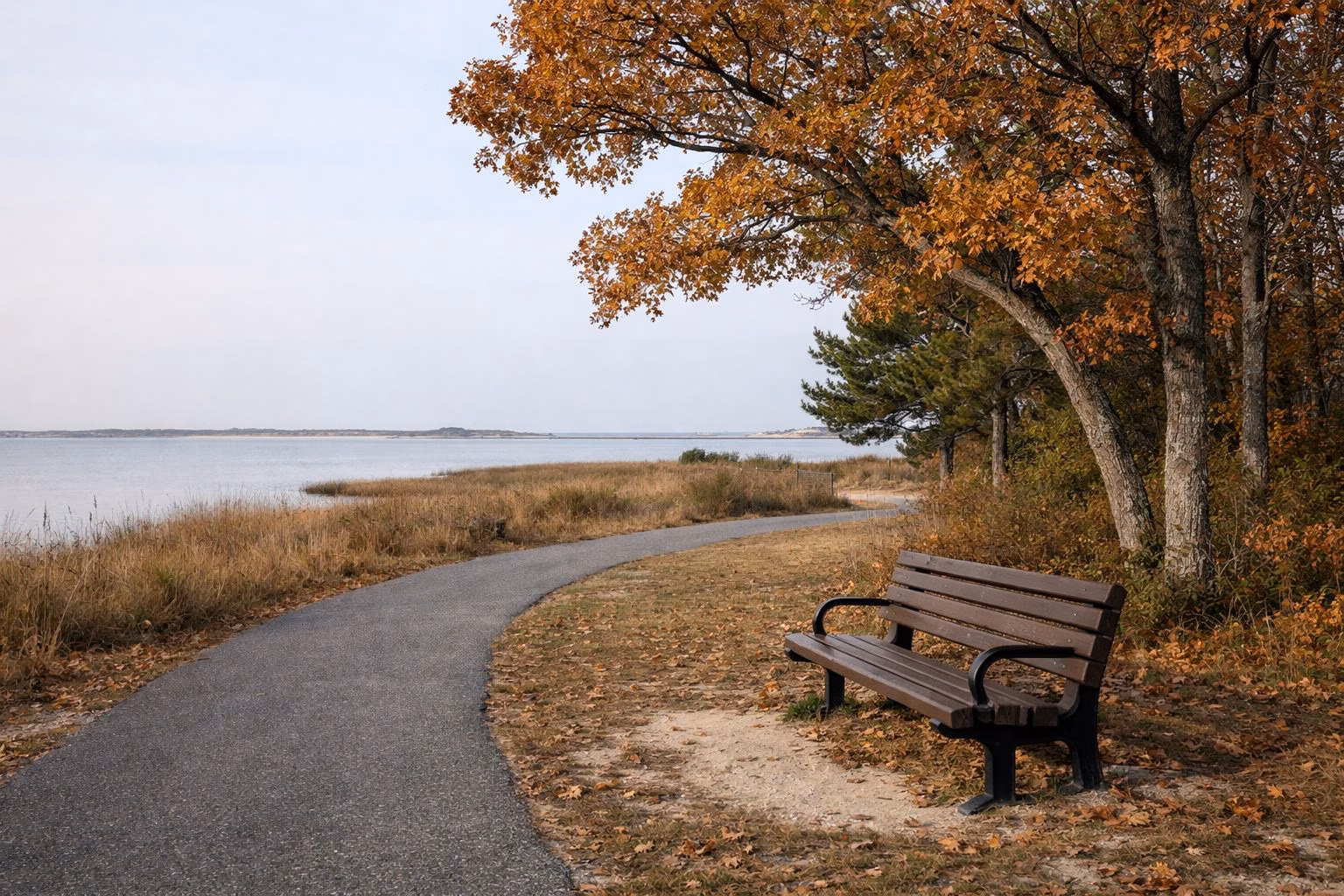 A paved park path curving past a bench under autumn oak trees
