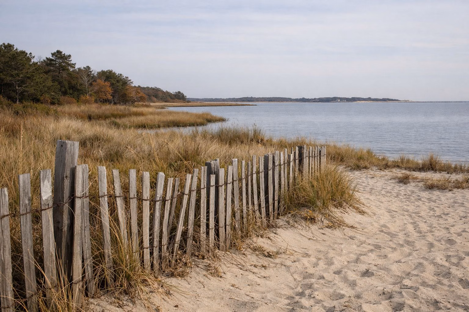A weathered wooden dune fence along low dunes with beach grass
